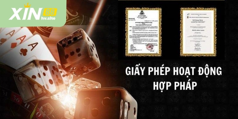 Giấy phép hoạt động XIN88: Tìm hiểu từ A đến Z cho newbie